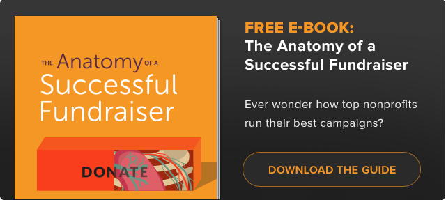 blog-anatomy-post examples of successful nonprofit fundraising campaigns