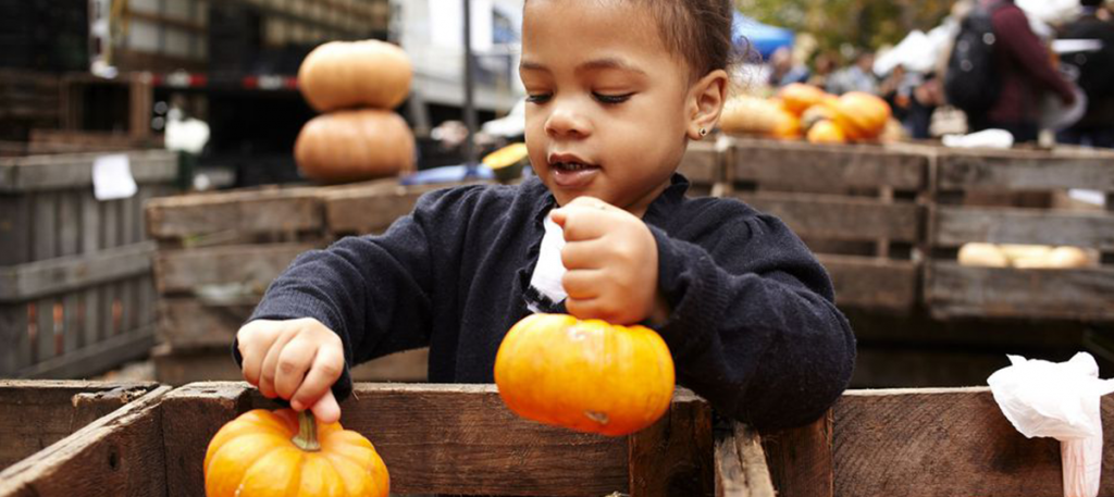 Best Fall Festival Fundraising Ideas Sbabydesigns