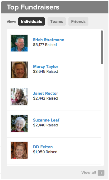 Top-Fundraisers