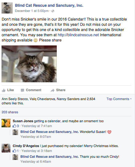 Blind cat rescue facebook example