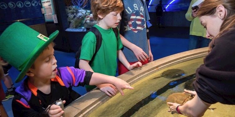 Children at National Aquarium. 