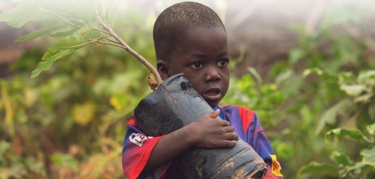 Child holding a tree