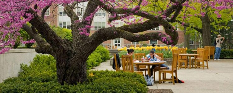 Image of Cornell University, where they offer social entrepreneurship programs. 